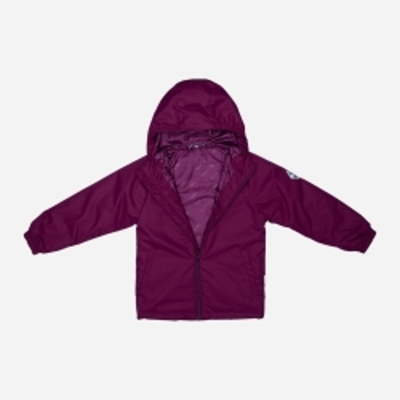 Демісезонний комплект (куртка + штани) Huppa Rex 45080014-80134 140 см Бордовий з темно-сірим