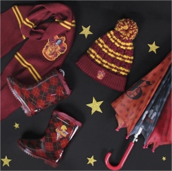 Гумові чоботи для хлопчика Disney Harry Potter 2300004453 34 Червоні